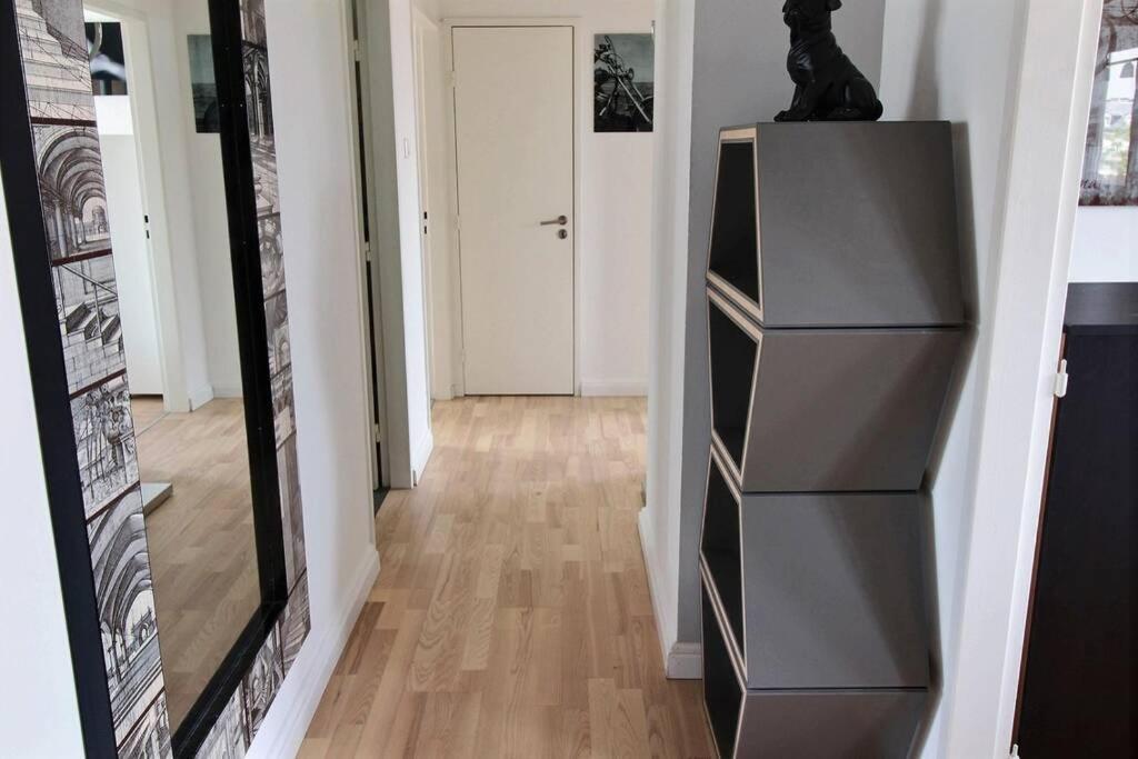 3 Pieces En Plein Centre De Strasbourg Apartment Exterior photo
